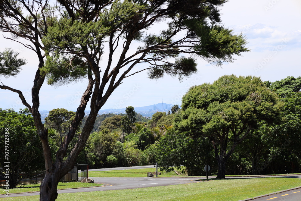 paved driveway through iron gates into a landscaped park