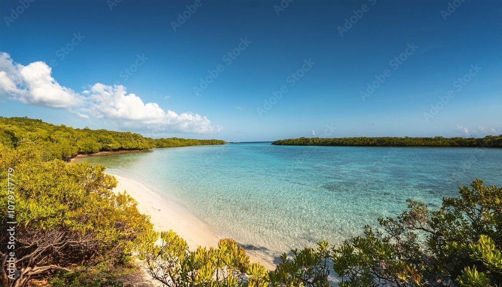 Naklejka premium Tropical Coastal Lagoon With Calm Turquoise Waters, Surrounded by Mangroves and Sandy Shores, Under the Bright Midday Sun and Clear Blue Skies in a Remote Island Setting