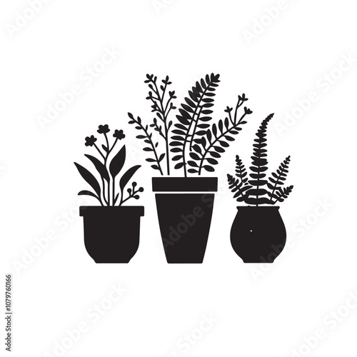 Tree silhouette with tree pot. Indoor tree silhouette. Small tree vector silhouette black and white.