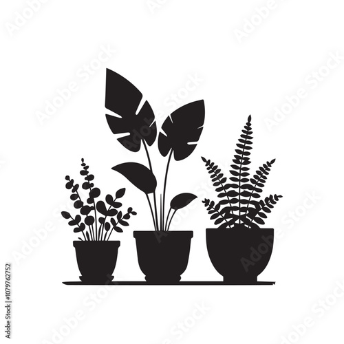 Tree silhouette with tree pot. Indoor tree silhouette. Small tree vector silhouette black and white.