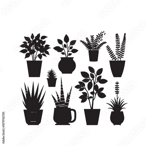 Tree silhouette with tree pot. Indoor tree silhouette. Small tree vector silhouette black and white.