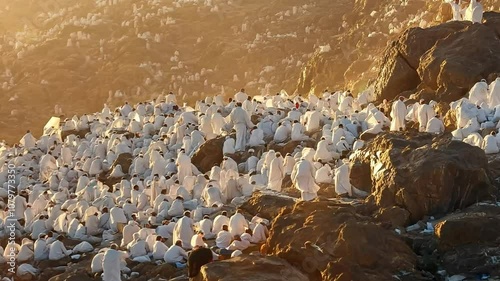 Pilgrims Climbing Mount Arafat in Mecca