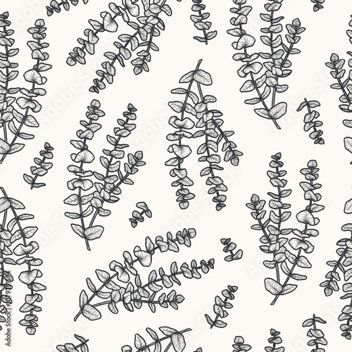 Hand drawn eucalyptus branch seamless pattern