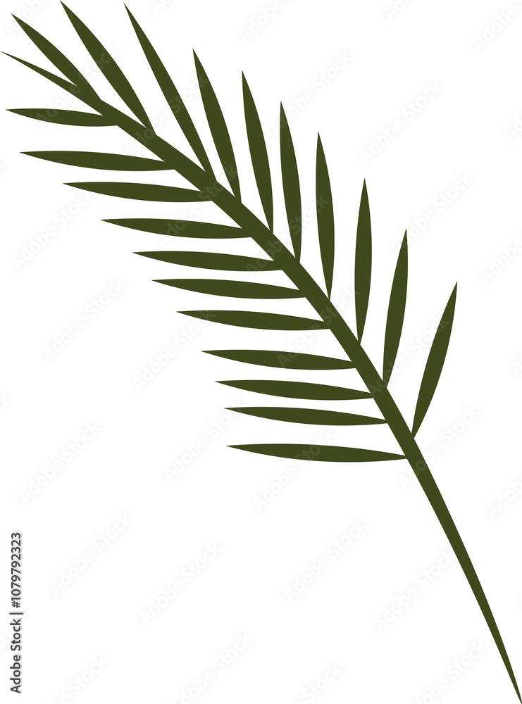 Fototapeta premium 잎사귀