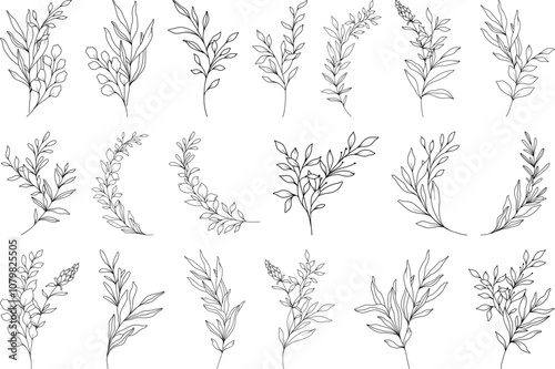 Wallpaper Mural Botanical Line Art Collection of Elegant Herb and Leaf Stems, Minimalist Floral Illustrations for Nature-Inspired Design, Wedding Decor, and Eco-Friendly Projects Torontodigital.ca