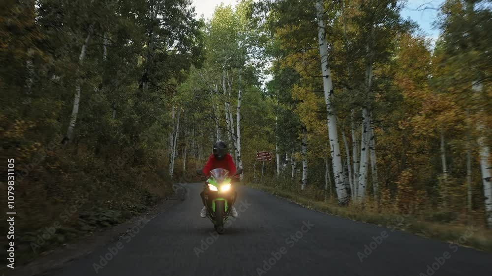 Motorcycle speeding through autumn forest on road - low shot Motorcycle speeding through autumn forest on road - low shot