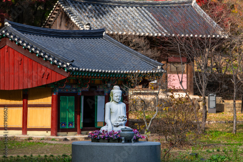 garden with the Buddha statue in the Buddhist temple photo