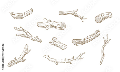 Set of wooden sticks illustration. Tree branches, twig. Pen drawing, sketch texture.