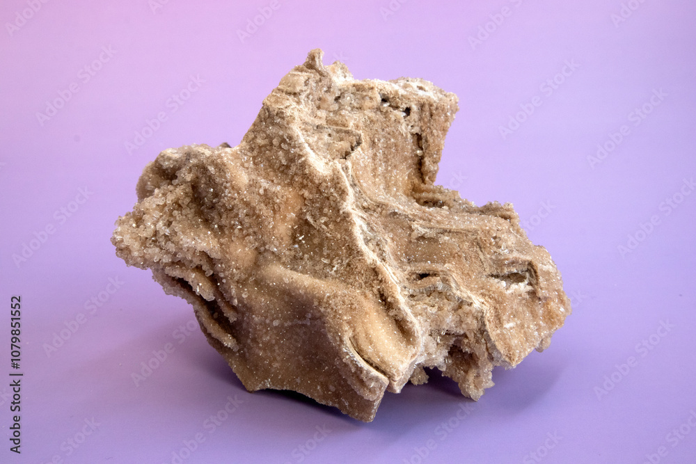 Ancient old petrified wood, excavation, minerals, as nice background Narrow focus line, shallow depth of field macro Ancient old petrified wood, excavation, minerals, as nice background Narrow focus line, shallow depth of field macro