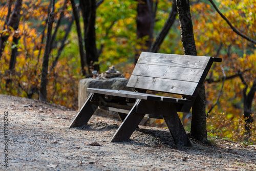 empty wooden bench in the autumn valley photo