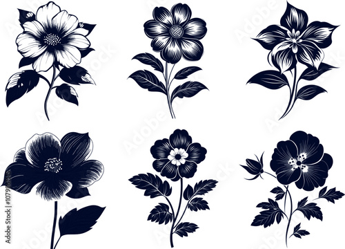 Beautiful Floral Illustrations Featuring Various Flower Designs in a Monochromatic Style