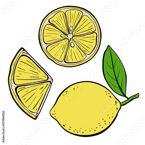 An Illustration featuring Fresh Lemon and Slices accompanied by a Green Leaf Design. Vector 