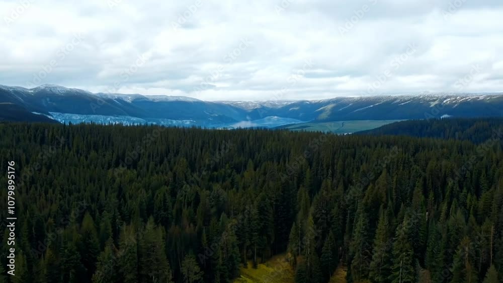 Drone Views of a Serene Forest Landscape During Daylight Hours Generative AI Drone Views of a Serene Forest Landscape During Daylight Hours Generative AI