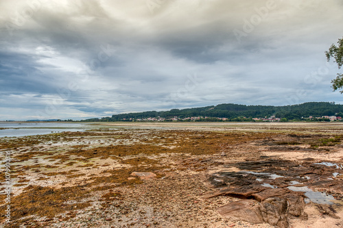 El Grove​​​ or Ogrobe​ ​ is a municipality and a peninsula located in the western part of the Salnés region, at the entrance to the Arosa estuary, in the northwest of Spain. Pontevedra, Galicia photo