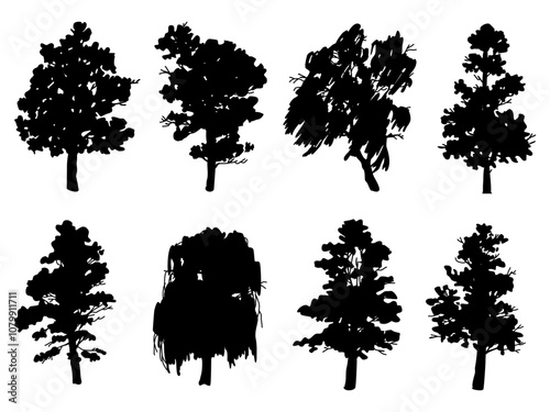 Collection Black Branch Tree and root or Naked trees silhouettes. Hand drawn isolated illustrations. Tree and roots LOGO style.