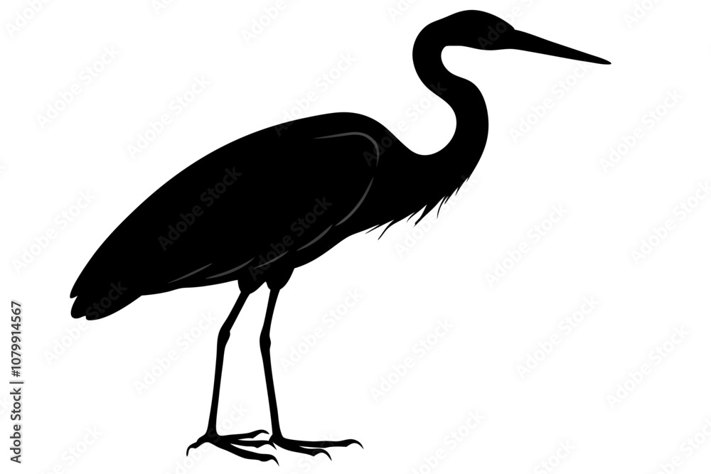 Naklejka premium Vector silhouette of a black heron on white background.