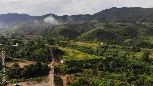 view from above,Rice fields in the valley of the people in Dam Rong Lam Dong Vietnam 