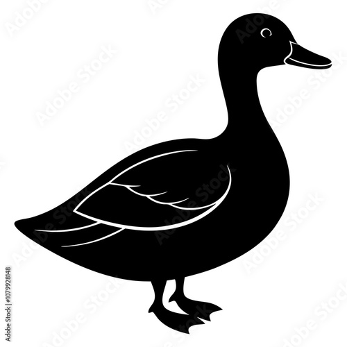 duck isolated on white