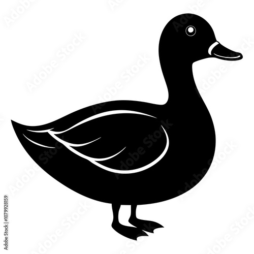 duck isolated on white