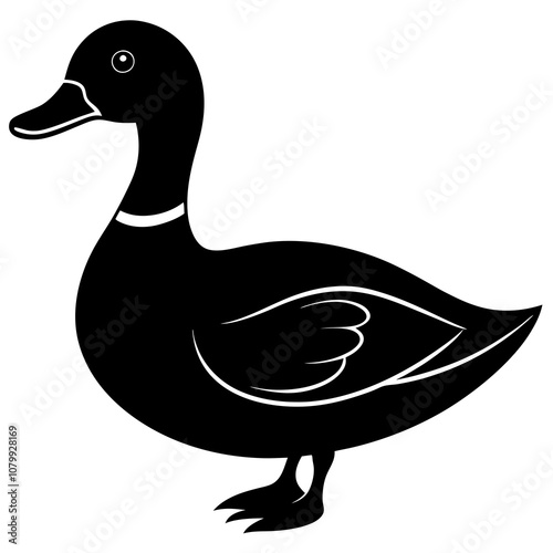 duck isolated on white