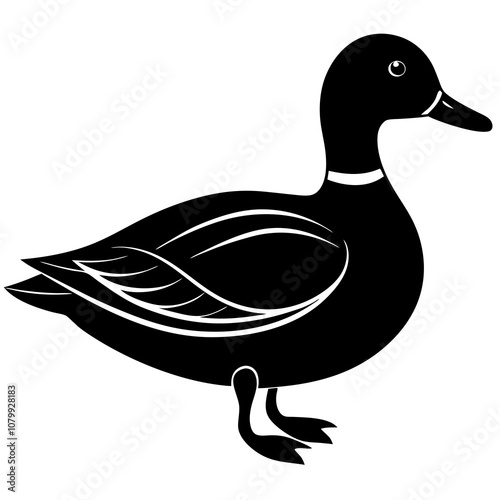 duck on white