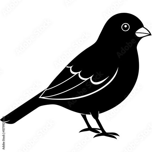 illustration of a bird