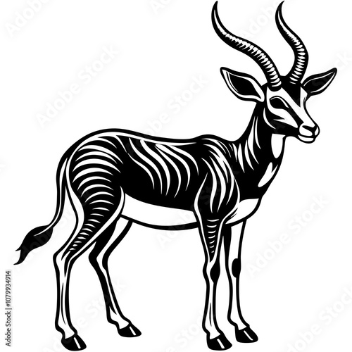 illustration of a gazelle