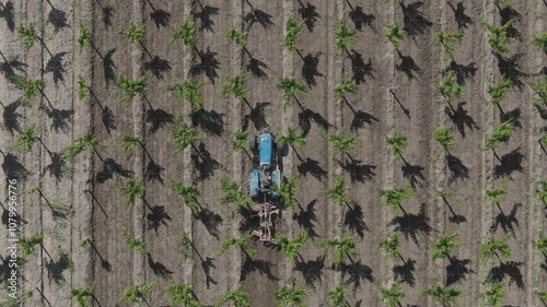 aerial view of tractor plowing vineyard crop field raw dlog video photo