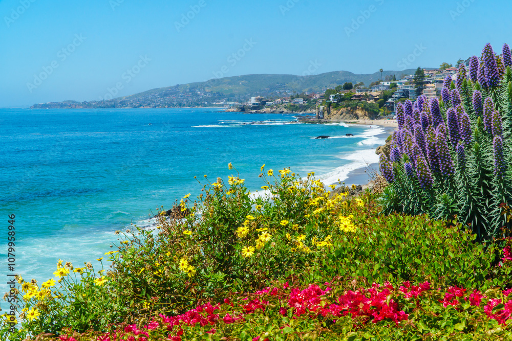 Obraz premium Beautiful Treasure Island Beach in Laguna Beach, Orange County, Southern California's scenic coastline