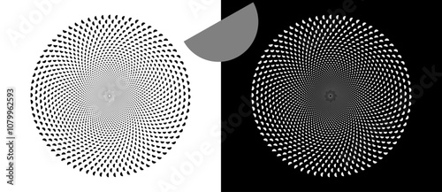 Abstract background with semicircles in circle. Art design spiral as logo or icon. A black figure on a white background and an equally white figure on the black side.