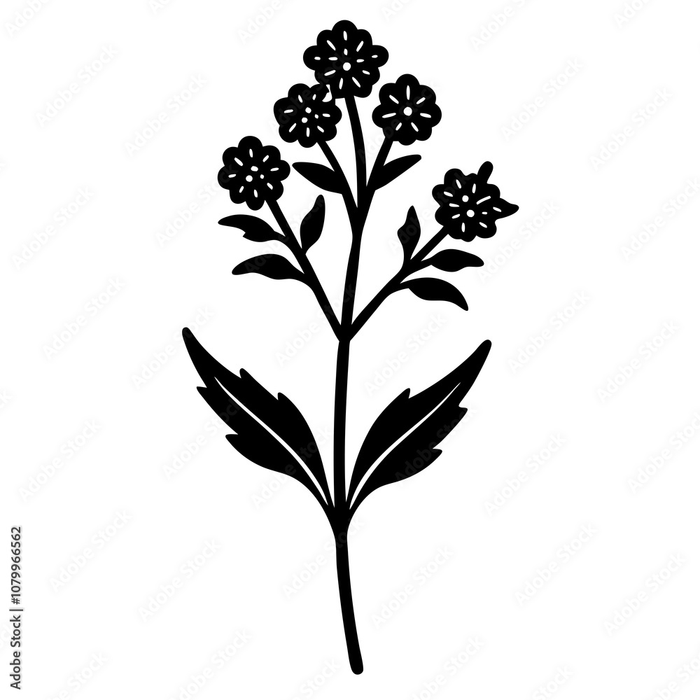black and white flower black and white flower
