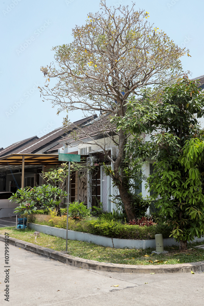 Typical Facade Of A Modern Suburban House From Extreme Angle
Typical Facade Of A Modern Suburban House From Extreme Angle