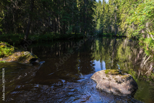 A river goes through the forest on a summer day, Karelian landscape photo