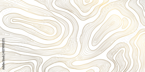 Vector line vector wavy pattern, topography graphic contour gold background. Ribbons, stripes terrain texture. Curve shapes, organic illustration, wood