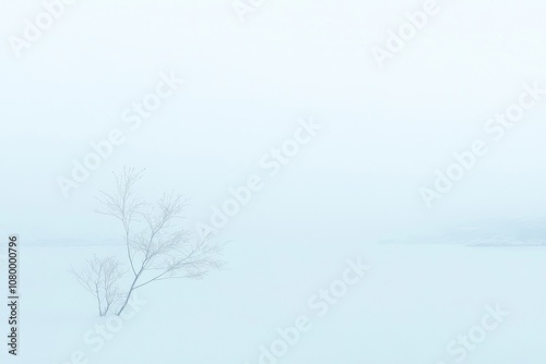 A solitary tree stands in a snowy, foggy landscape, evoking a sense of isolation and tranquility.