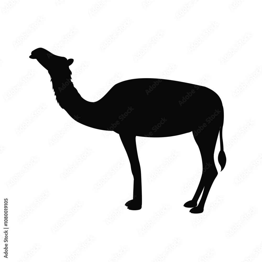 Fototapeta premium Camel silhouette. Camel vector silhouette.