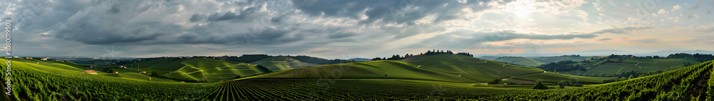 Panoramic photograph of the vineyards in a sleek Panoramic photograph of the vineyards in a sleek