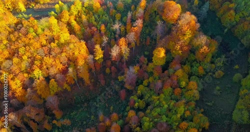 Aerial nature autumn landscape flight over picturesque hills mountains forests meadows