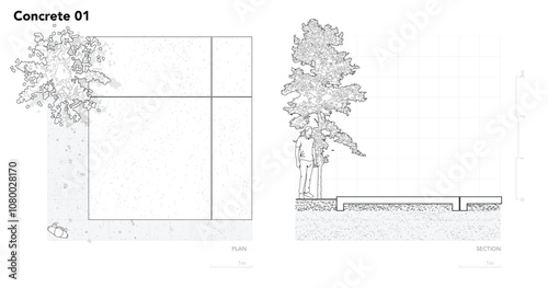 Architectural Drawings, Minimal style cad tree line drawing, Side view, set of section concrete pavement outline for landscape design drawing. Vector illustration in seperate element