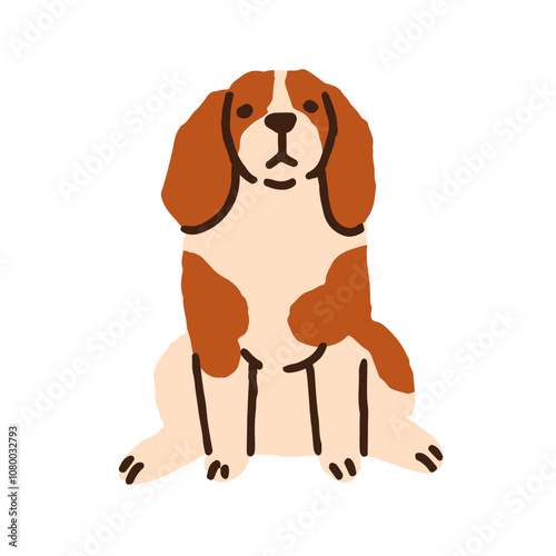 Cute puppy sitting in funny charming pose. Lovely adorable dog of Cavalier King Charles spaniel breed. Doggy, canine animal in seated position. Flat vector illustration isolated on white background