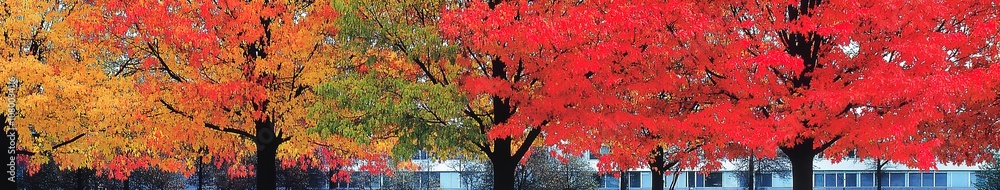 Fototapeta premium Abstract Marketing Background Depicting Autumn Leaves in a Park, Celebrating the Arrival of Fall and Seasonal Changes. The Scene Features Vibrant Yellow Leaves on Trees, Symbolizing the Transition of 