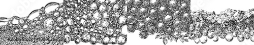 A flat illustration of bubble wrap shown from a perspective viewpoint.
