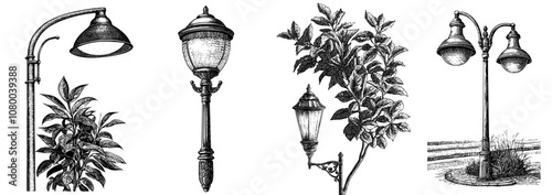A simple black and white illustration depicting a street light.