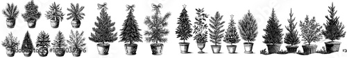 Xmas fir trees in pots and baskets on a white background, wreathed in baubles. Flat modern illustrations.