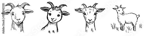 The illustration is hand-drawn in modern monochrome.
