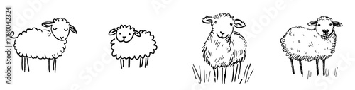 Isolated handdrawn sheep illustration on a transparent background.