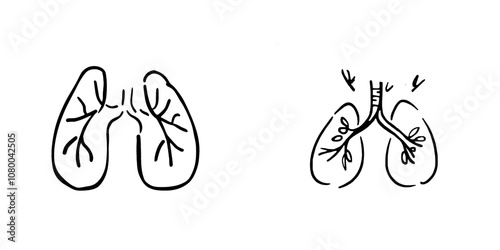 Editable outline of the lung organ isolated on white background.