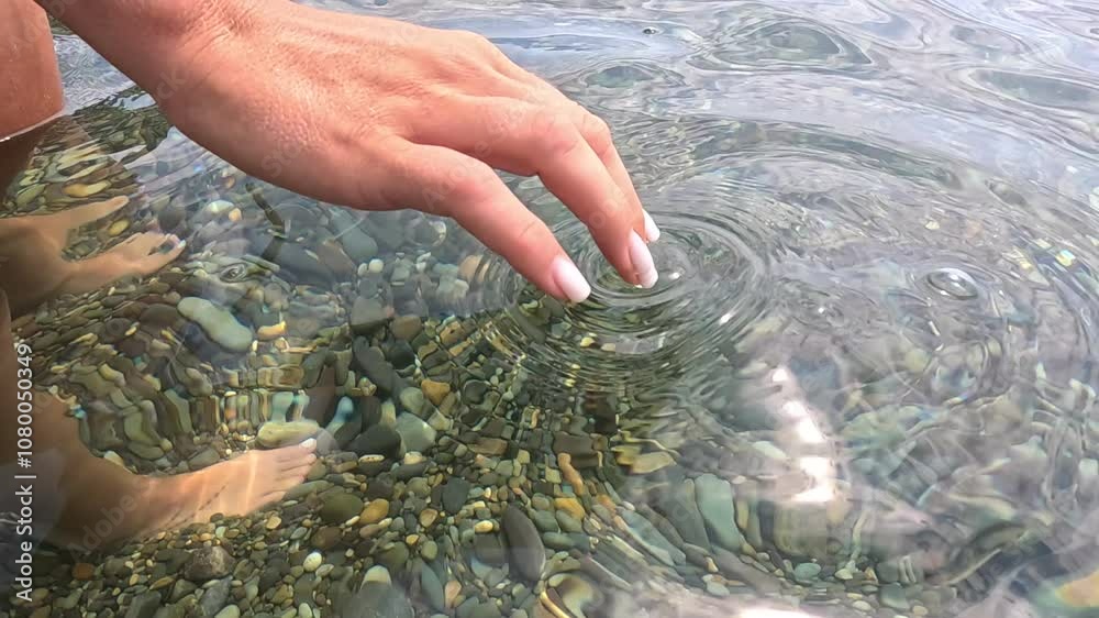 Hand Water Seaweed - A hand reaches into clear water touching green seaweed.