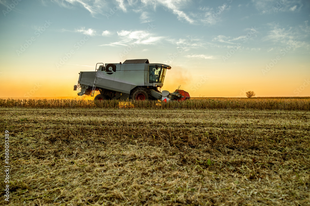 Combine harvester at work in a field during a picturesque sunset Combine harvester at work in a field during a picturesque sunset