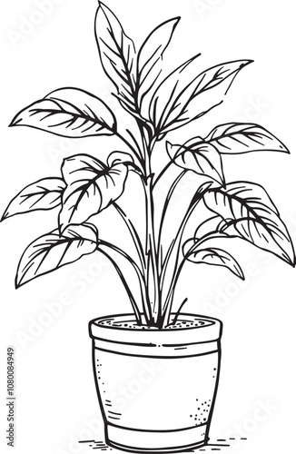 Houseplant, Potted Plant, Linear Drawing Sketched Art Black and White Vector Illustration